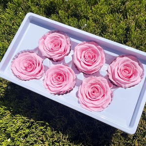Pink Rose Dried Flower Head White Wedding Rose Pink Flower Arrangement Corsage Preserved Dry Rose Floral Arrangements About 5~6cm Rose Head