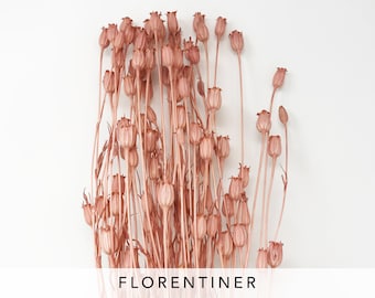 May include: A bunch of dried pink flower buds with long stems. The flower buds are closed and have a delicate, papery texture. The stems are thin and brown. The flowers are arranged in a loose, natural cluster. The background is a plain white surface. The text "FLORENTINER" is printed at the bottom of the image.