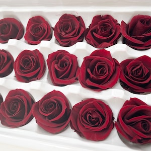Wine Red Rose Small 21 Preserved Roses in a box Wedding decor Floral arrangements Wedding preserved flowers DIY Home decor Bridal Shower
