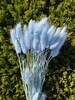 Light Blue / 15g Lagurus Dried flowers, Hare's tail grass, Floral arrangements, Blue flowers, stem flowers, Wedding or Home decor flowers 