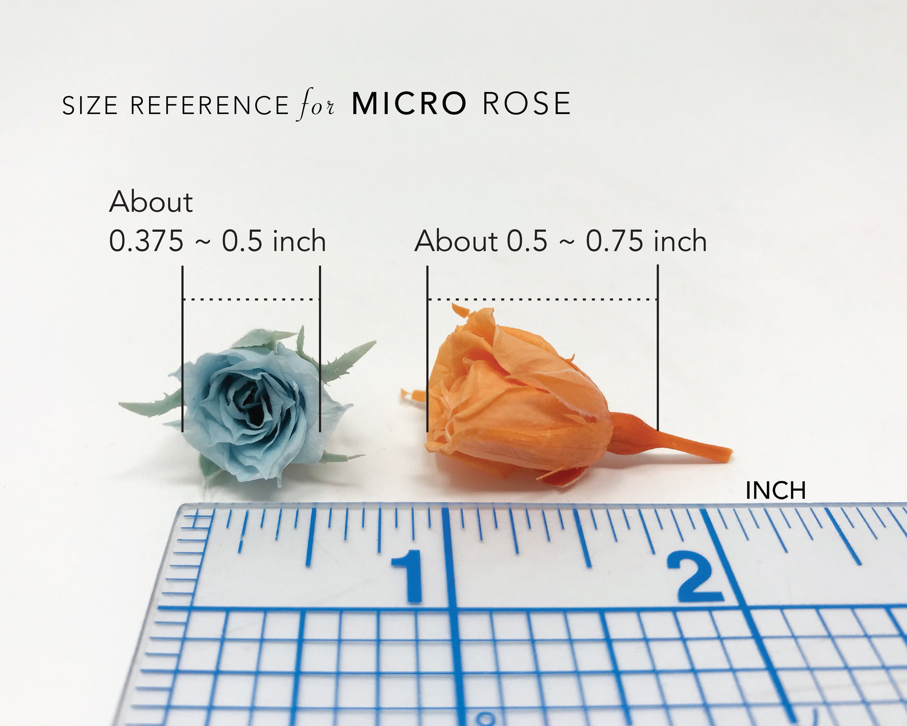 0.375 Inch Grand Blue Rose Tiny MICRO Preserved Rose SMALL Floral ...