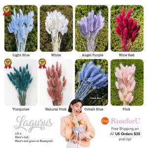 May include: Assortment of dried Lagurus grass, also known as Hare's-tail grass or Bunnytail, in various colors: light blue, white, angel purple, wine red, turquoise, natural pink, cobalt blue, and pink. Free shipping on all US orders $35 and up.