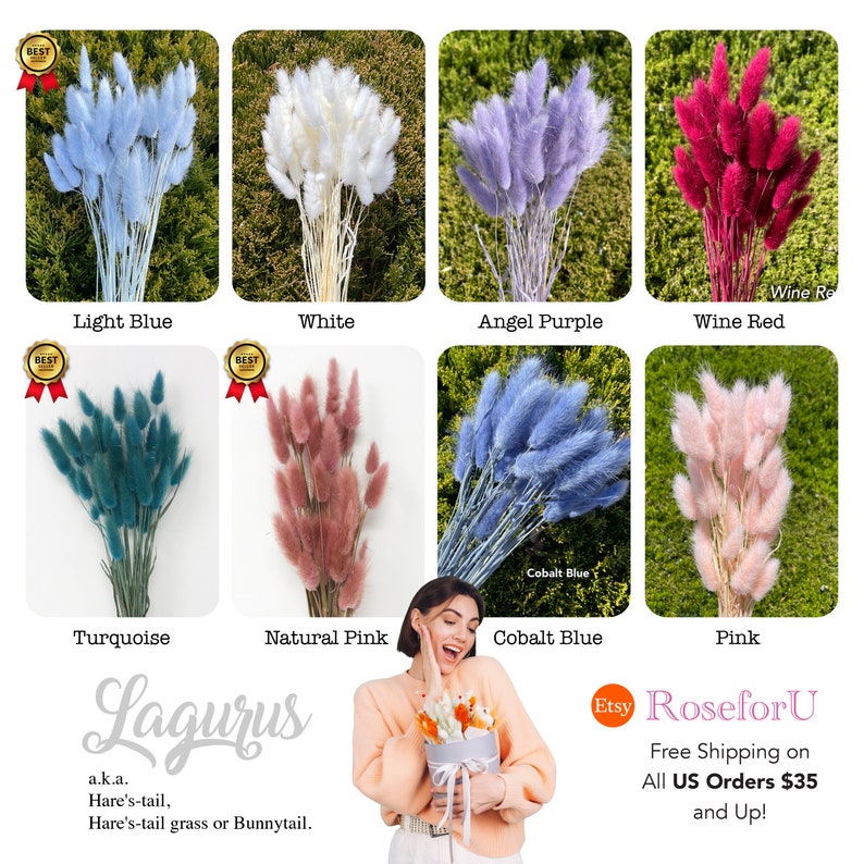 May include: Assortment of dried Lagurus grass, also known as Hare's-tail grass or Bunnytail, in various colors: light blue, white, angel purple, wine red, turquoise, natural pink, cobalt blue, and pink. Free shipping on all US orders $35 and up.