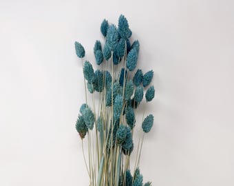 Arranjo de flores secas azul turquesa phalaris, decoração de casamento faça você mesmo