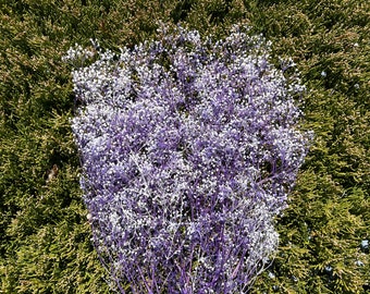 Weiß Lila Mini Soft Schleier Blumen konservierte Blumen 22g home decor Blumenhochzeit lila Blume Hochzeit Boutonniere Blumenstrauß