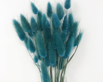 Turquoise Dried Lagurus Floral Stems, Botanical Decor (15g)