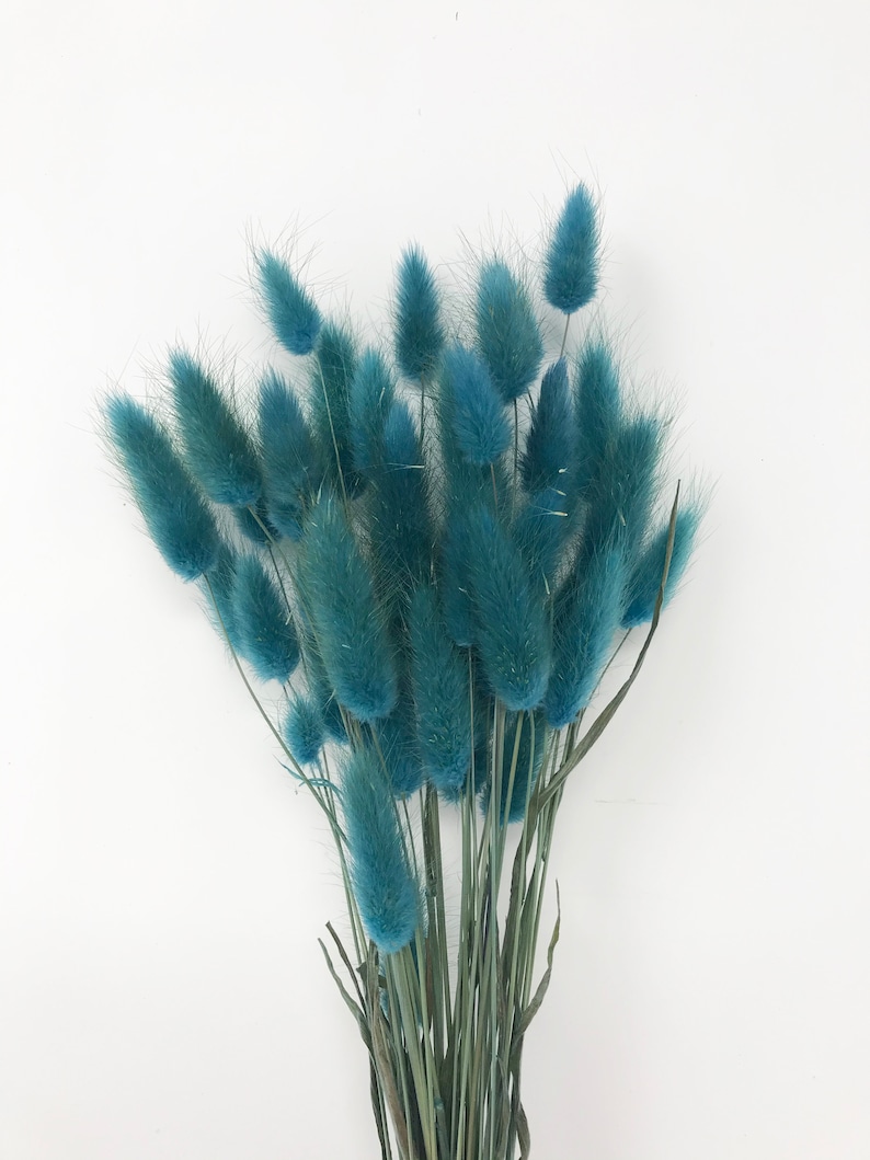 May include: A bunch of dried blue bunny tail grass. The stems are green and the fluffy tips are a light blue color.