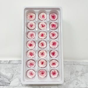 SMALL Pink Peach Rose Small 21 Preserved Roses Wedding decor Floral arrangements Wedding preserved Roses Tiny DIY Home decor Bridal Shower