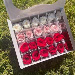Color Assorted Preserved Rose Vivian Red Mix Wedding Rose Home decor preserved flower Wedding Floral Arrangement ideas Gift flower Qty 24