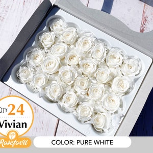 Pure white Qty 24 Vivian Rose Preserved rose white rose dried preserved flower home decor Floral arrangement wedding decor white small rose