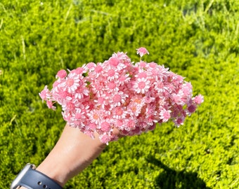 Bridal Pink Star Dried Flower Blossom - DIY Wedding Floral Arrangement