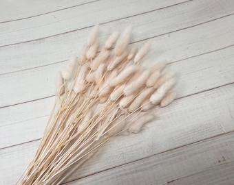 Bunny Tail Grass Pink Lagurus Dried Floral Arrangement Pink Flower Wedding Dried flower Bouquet Pink Wedding decor Pink Baby Shower 15g