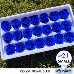 Royal blue preserved rose 21 wedding rose preserved flower wedding decor Real rose Floral arrangements dried flower bouquet small rose head