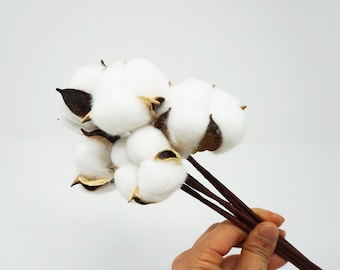 5 pcs of dried cotton flowers, cotton balls, cotton, dried cotton stalks, cotton stems, preserved cotton stem, dried flowers, white flowers