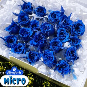 0.375 Inch Grand Blue Rose Tiny MICRO Preserved Rose SMALL Floral ...