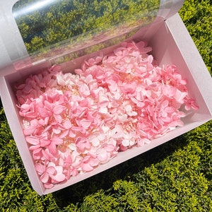 Pink Hydrangea Rose White Preserved Hydrangeas preserved flower DIY Home decor Dried flowers wedding decor flowers floral arrangements