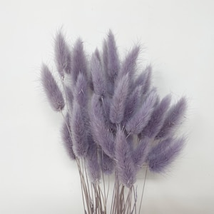 Angel Purple Lagurus Dried flower Purple Floral arrangement flower stem flower Dry boutonniere Wedding decor Home decor Wedding flower 15g