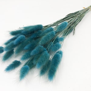 May include: A bunch of dried blue bunny tail grass, also known as Lagurus ovatus, with long stems. The grass is a popular choice for floral arrangements and home decor.