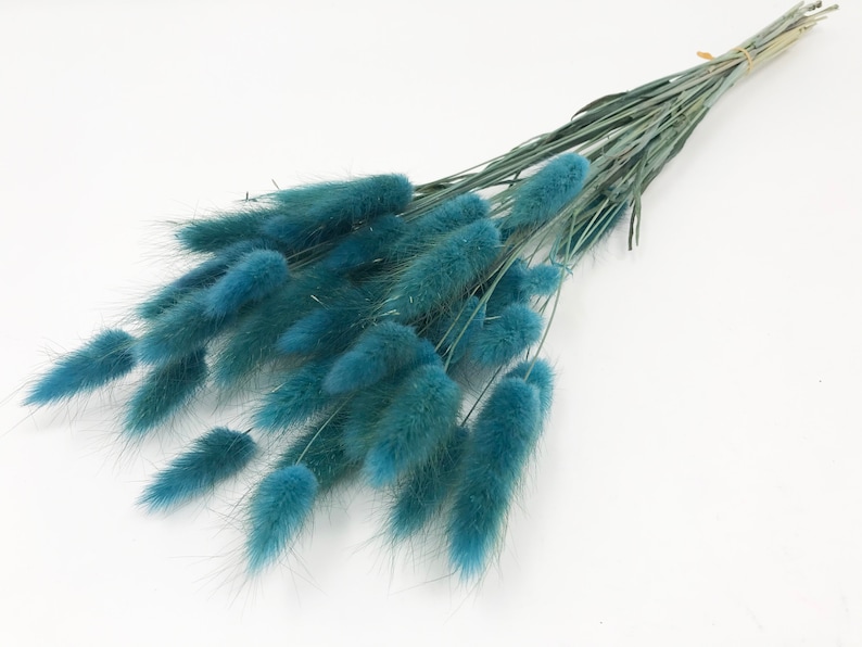 May include: A bunch of dried blue bunny tail grass, also known as Lagurus ovatus, with long stems. The grass is a popular choice for floral arrangements and home decor.
