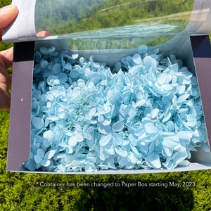 Light Blue Peegee Hydrangea Wedding flower home decor hydrangea floral arrangement Dried flower dry flower arrangement wedding decor Blue