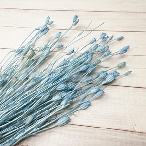 Light Blue Florentiner Dried flower Wedding decor Blue DIY Floral arrangement wedding flower DIY Flower arrangement Blue Home decor 30g