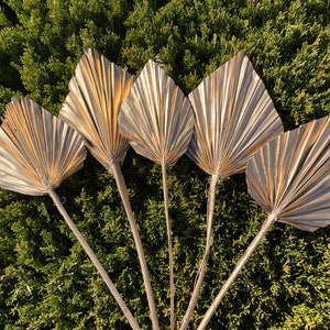Palm Spade Gold Color 5 Stems Dried Flower Gold Floral Arrangement Gold Wedding Decor  Boho Flower Bouquet Arrangement DIY Home Decor Table