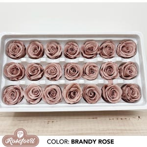 Brandy Rose 21 pcs Preserved Rose Small 2~3cm Wedding decor Floral arrangement Pinkish-beige Wedding dried flower DIY Home decor Baby Shower