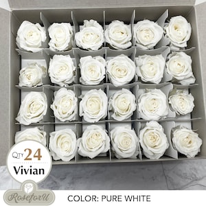Pure white Qty 24 Vivian Rose Preserved rose white rose dried preserved flower home decor Floral arrangement wedding decor white small rose