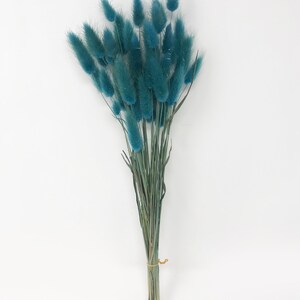 May include: A bunch of dried blue bunny tail grass, tied together with a brown rubber band.