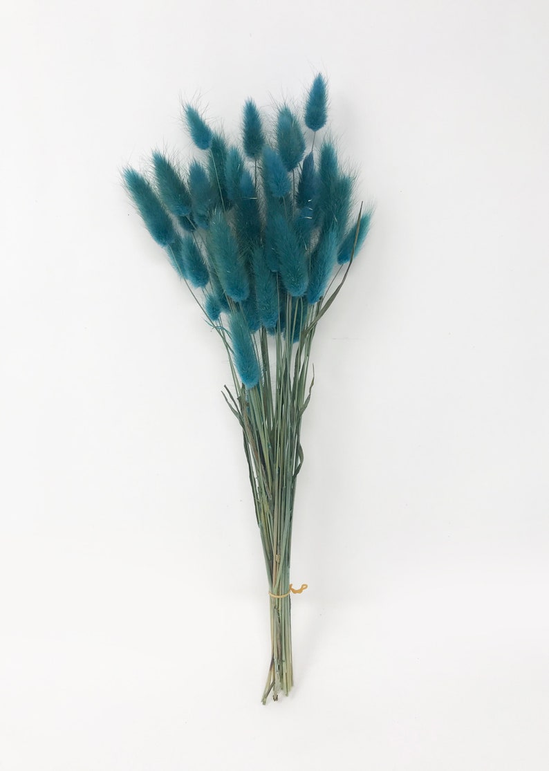 May include: A bunch of dried blue bunny tail grass, tied together with a brown rubber band.