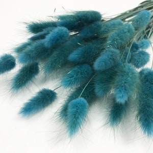 May include: A bunch of blue dried bunny tail grass. The stems are green and the fluffy tips are a light blue color.