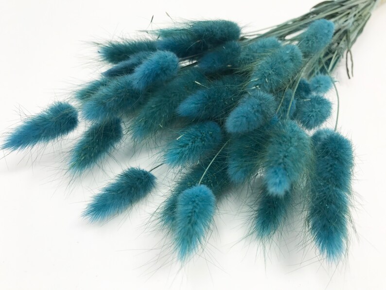 May include: A bunch of blue dried bunny tail grass. The stems are green and the fluffy tips are a light blue color.