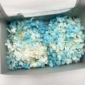Preserved Blue-White Hydrangea Eternal hydrangeas Preserved flower DIY Home Decor Wedding Flowers Floral Arrangements Blue Dried flowers