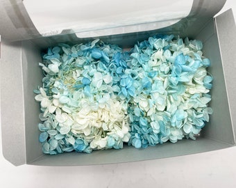 Preserved Blue-White Hydrangea Flowers, DIY Floral Arrangement