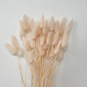 May include: A bunch of dried pampas grass with soft, feathery plumes in a light blush pink color.