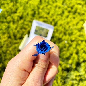 0.375 Inch Grand Blue Rose Tiny MICRO Preserved Rose SMALL Floral ...