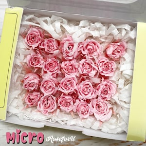 Baby Pink Preserved rose Micro Tiny Rose home decor Preserved flower wedding Rose decor Pink Rose Dried Rose Floral arrangement Qty 20