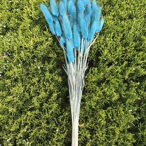 May include: A bunch of blue dried bunny tail grass, tied together with a rubber band. The grass is arranged in a bouquet shape and is set against a green background.