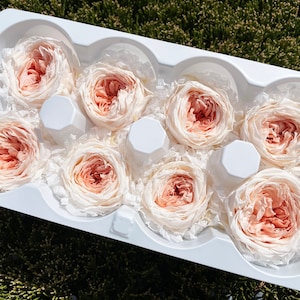 White Coral Preserved Rose 8pc Temari Mille-feuille Preserved Flower White Home Decor Wedding Rose DIY Floral Arrangement White Elegant Rose