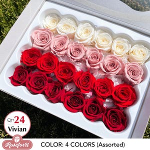 Color Assorted Preserved Rose Vivian Red Mix Wedding Rose Home decor preserved flower Wedding Floral Arrangement ideas Gift flower Qty 24