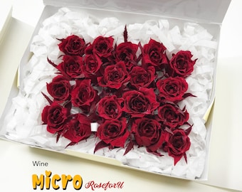 Wine Mini Roses Preserved Micro Dried Flowers Resin Art