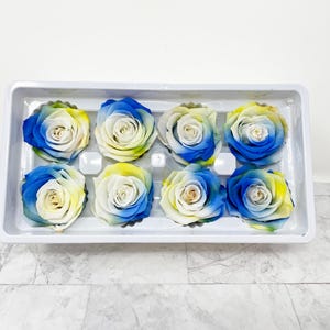 Preserved Rose Head Floral Arrangement Wedding Rose Blue Dried Flower Blue 8pc Rose Head DIY Home decor Blue Baby Shower Blue-Yellow Tone