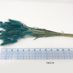 May include: A bunch of dried blue bunny tail grass, tied together with twine, measuring 14 inches in length.
