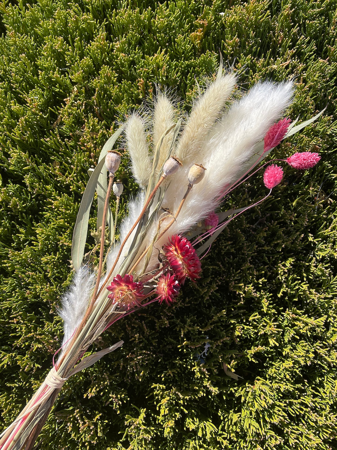 10 Stück Trockenblumen 60cm - Getrocknete Blumen Für Deko & Vasen