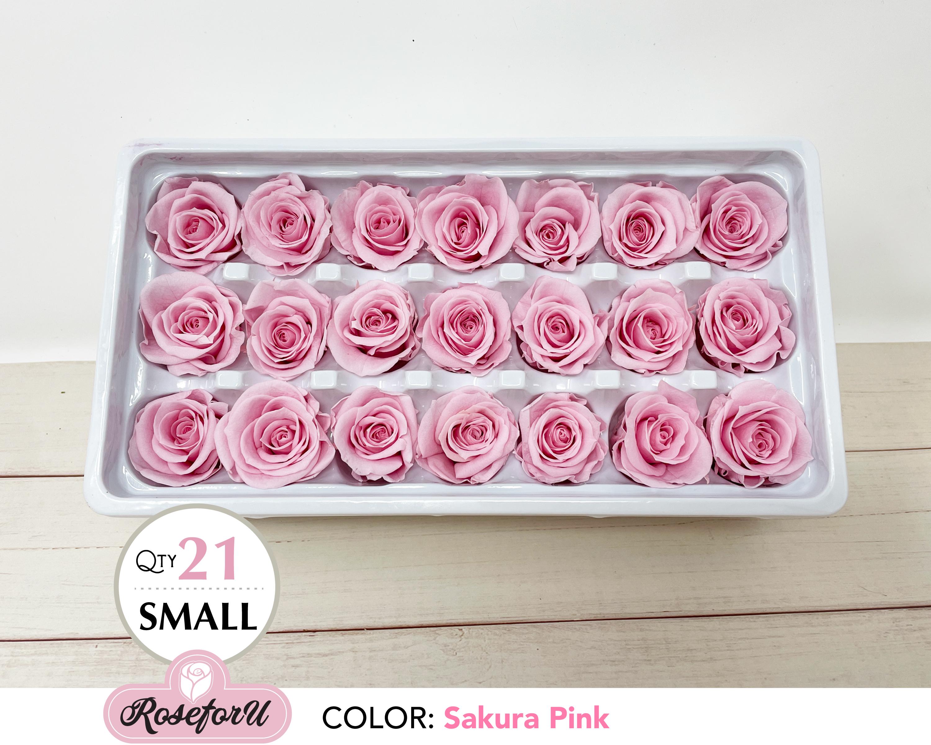 Sakura Pink Rose 21 Pcs in a Box Preserved Rose Small Diameter 2