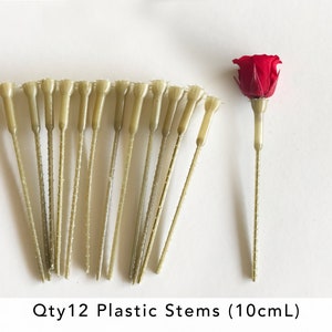 May include: Twelve 10 cm long plastic stems, ideal for crafting and floral arrangements. The stems are a light beige color and are shown next to a single red rose.
