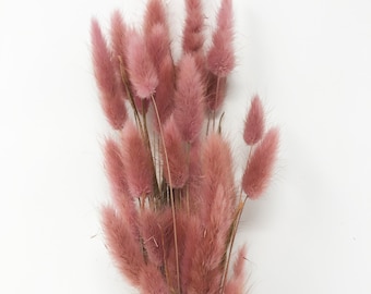 Natural pink Bunny Tail dry flowers bundle Pink Flower Arrangement dried flower bouquet hare's-tail grass dried floral home decor Lagurus