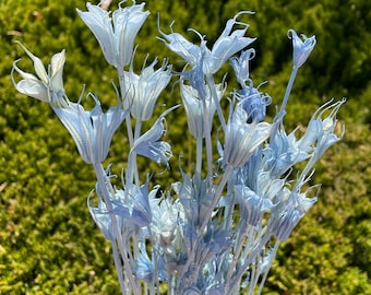 Water Blue color 30g Nigella Orientalis Blue Dry Flower arrangement Dried flower DIY Floral arrangement Wedding decor Blue Home decor