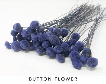 Purple Blue Button Flower wedding decor dried flower gift DIY Floral arrangement Home decor Flower arrangement Wedding flower blue 22g