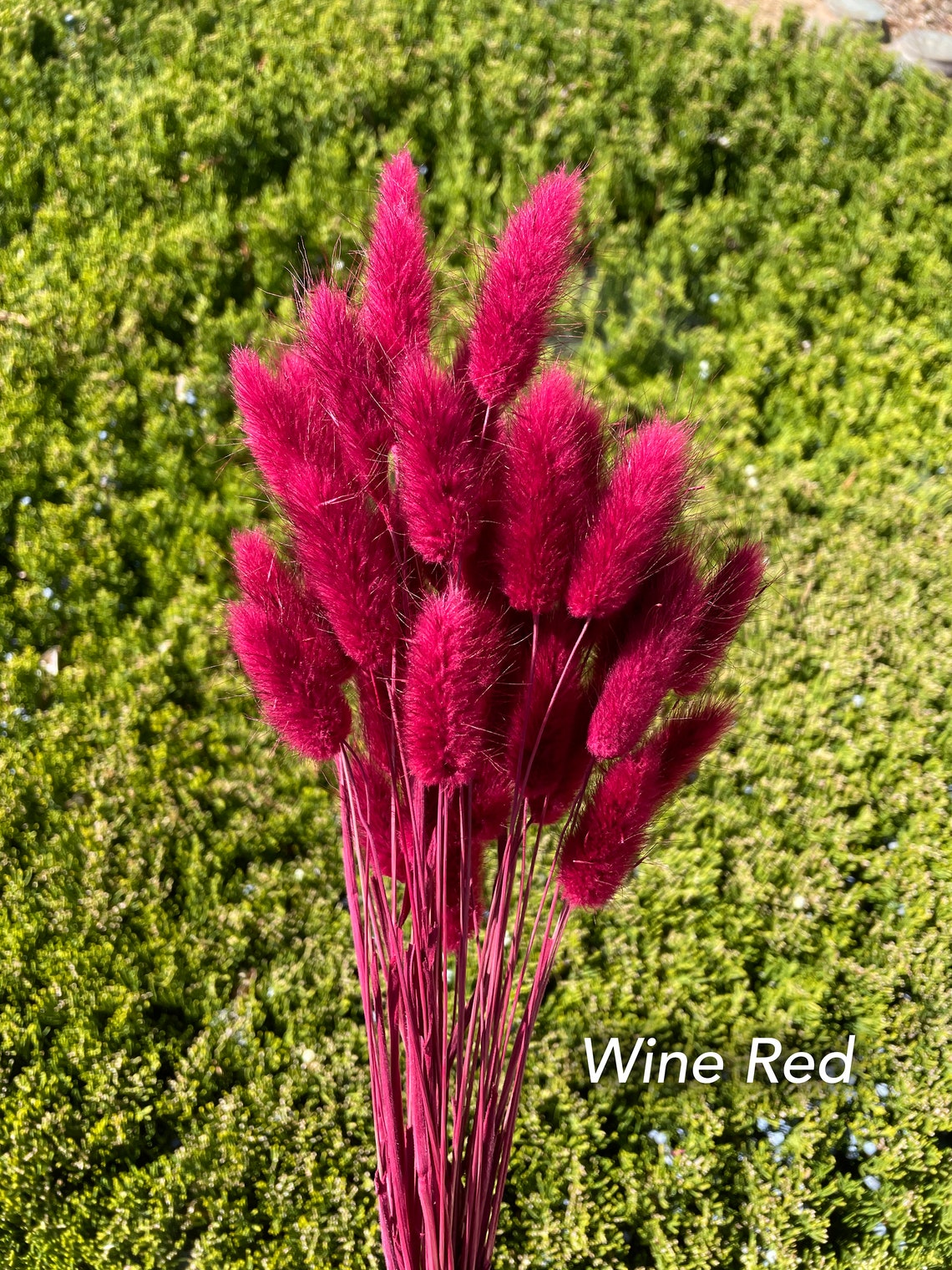 Natural Pink / Dried Flowers DIY Flower Arrangements Stem Etsy Australia
